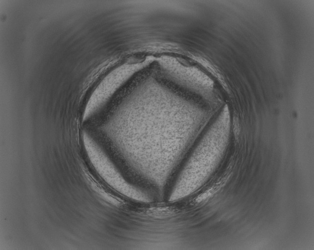 X0000067900445200605041622