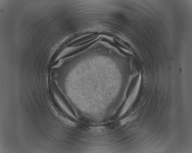 X0000067900446200605041622