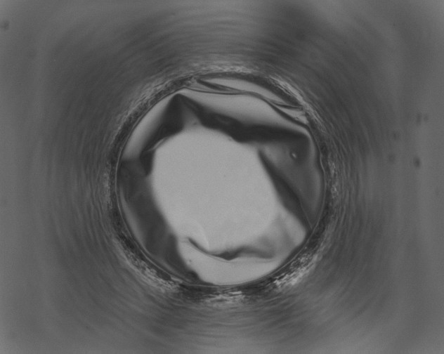 X0000067900447200605041622