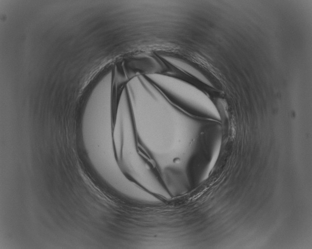 X0000067900448200605041622