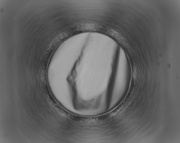 X0000067900449200605041622