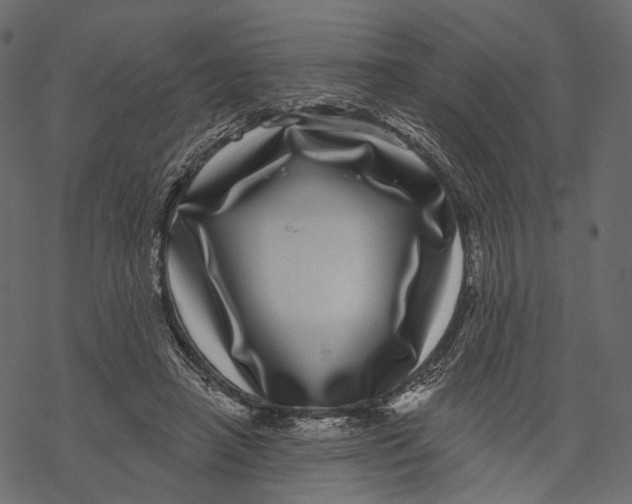 X0000067900450200605041622