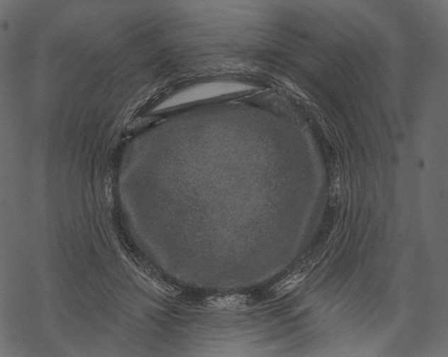 X0000067900452200605041622