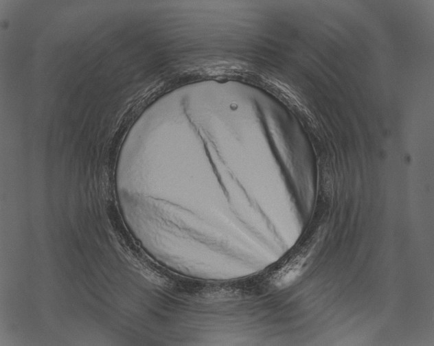 X0000067900453200605041622