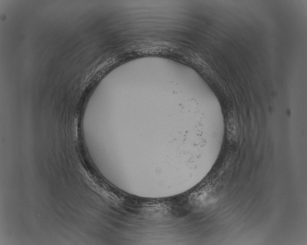 X0000067900454200605041622