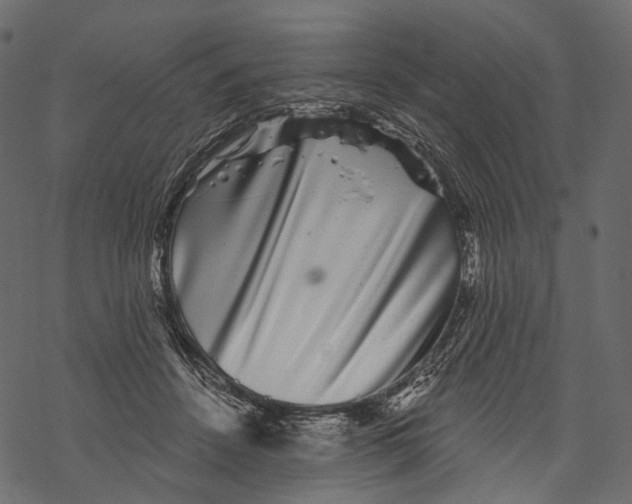 X0000067900456200605041622