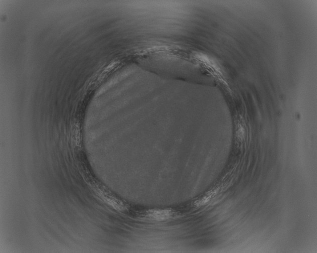 X0000067900457200605041622