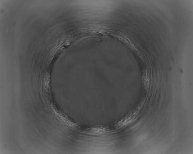 X0000067900458200605041622