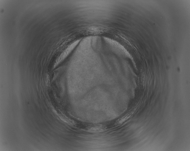 X0000067900459200605041622