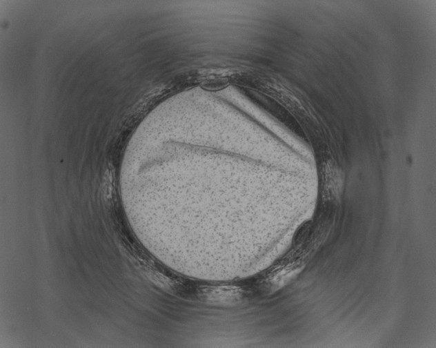 X0000067900463200605041622