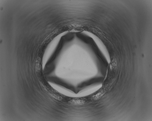 X0000067900464200605041622