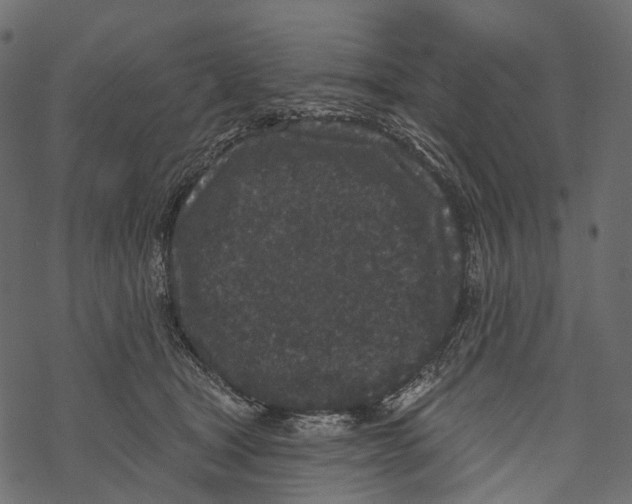 X0000067900465200605041622