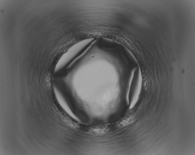 X0000067900466200605041622