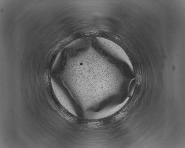 X0000067900468200605041622