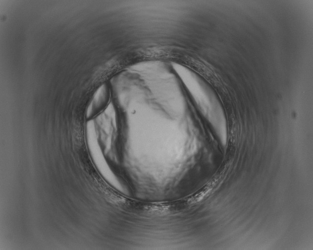 X0000067900469200605041622