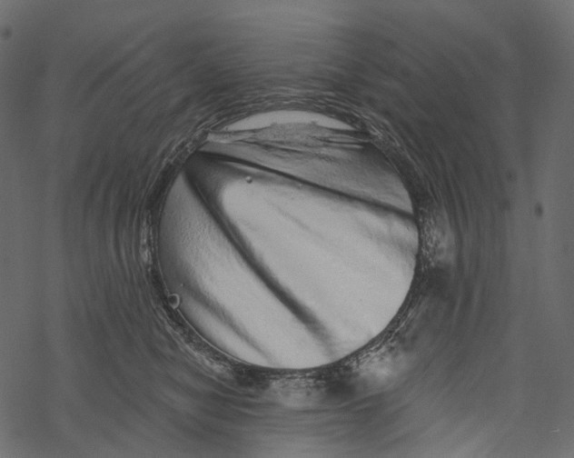 X0000067900470200605041622