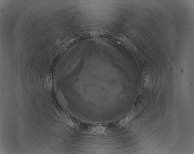 X0000067900471200605041622