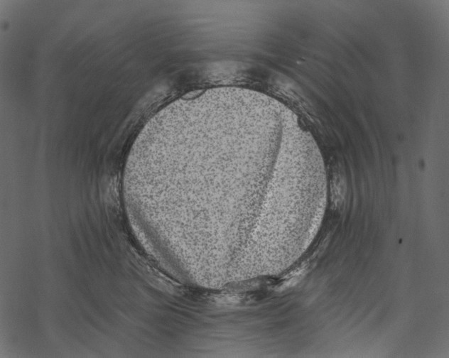 X0000067900473200605041622