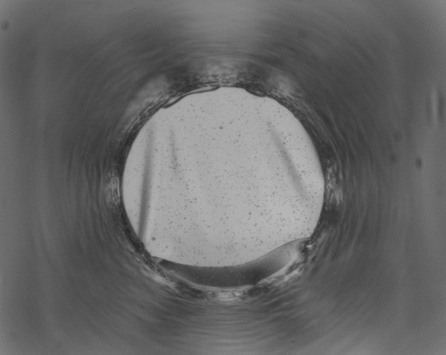 X0000067900474200605041622