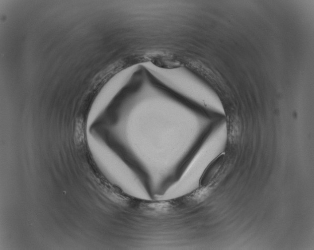 X0000067900478200605041622