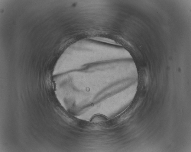 X0000067900479200605041622