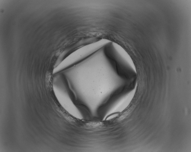 X0000067900480200605041622