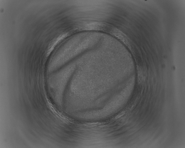 X0000067900482200605041622