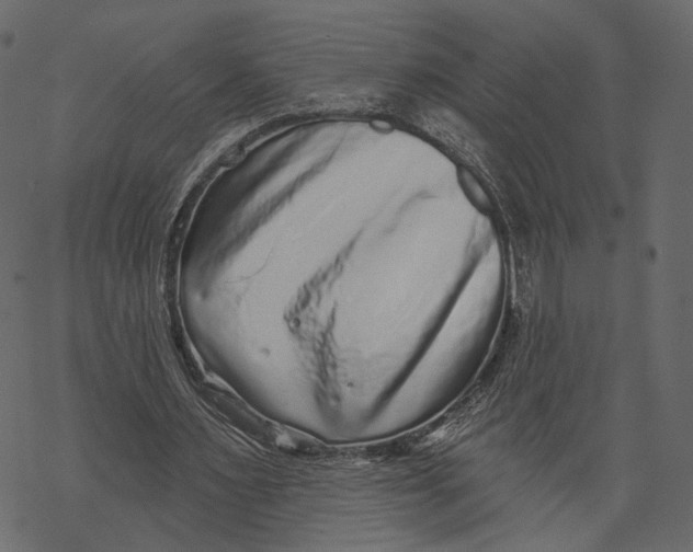 X0000067900483200605041622