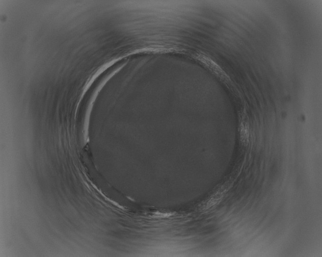 X0000067900484200605041622