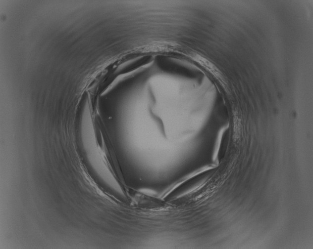 X0000067900485200605041622