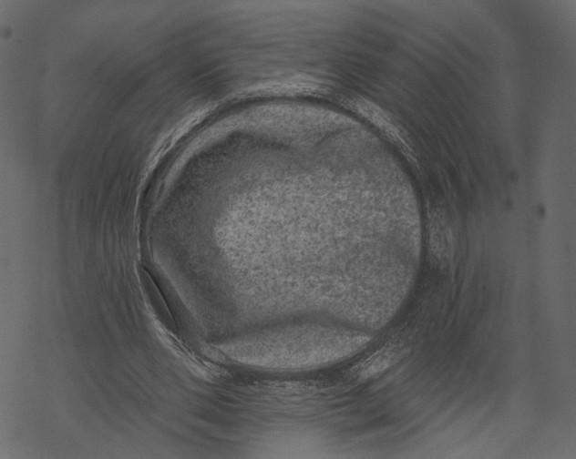 X0000067900486200605041622