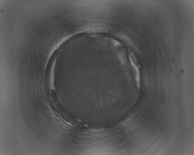 X0000067900488200605041622