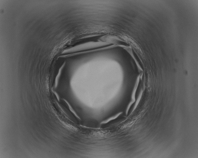 X0000067900489200605041622