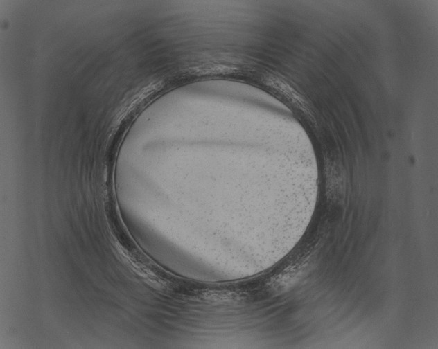 X0000067900490200605041621