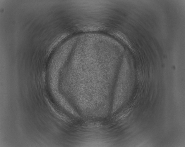 X0000067900491200605041621