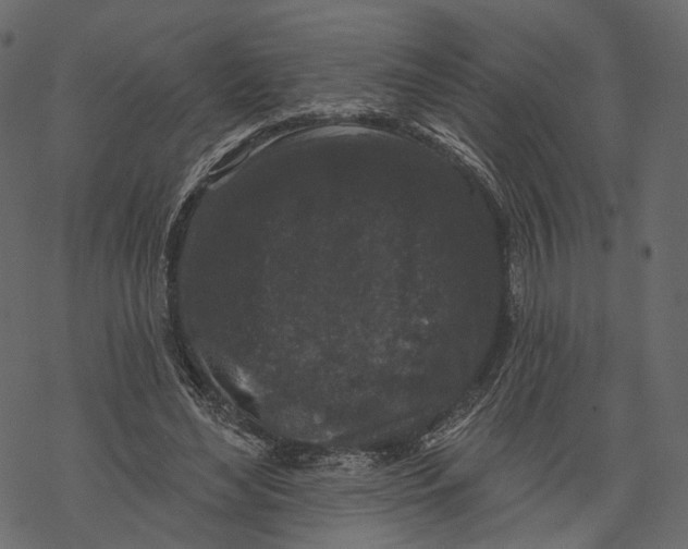 X0000067900492200605041621