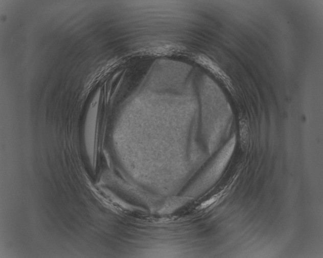 X0000067900493200605041621