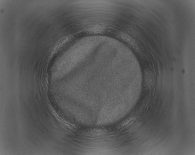 X0000067900494200605041621