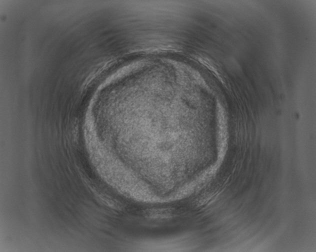 X0000067900495200605041621