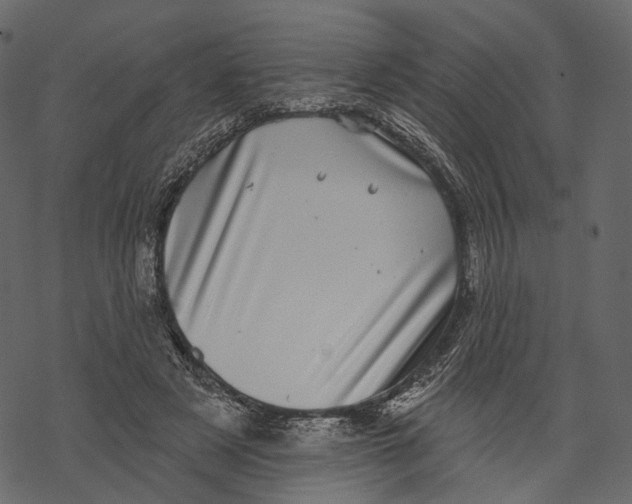 X0000067900497200605041621