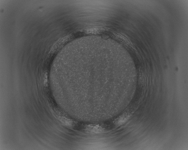 X0000067900502200605041621