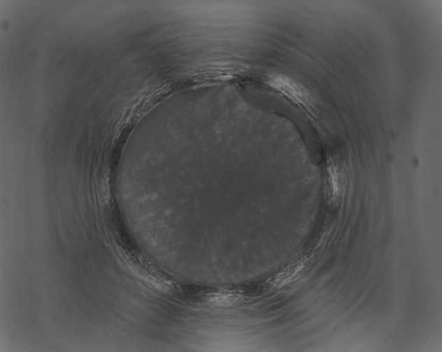 X0000067900504200605041621