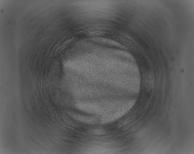 X0000067900506200605041621