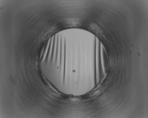 X0000067900509200605041621