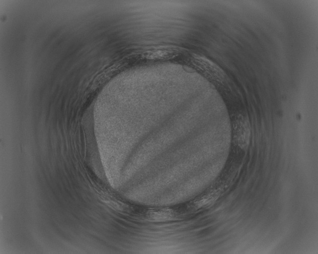 X0000067900510200605041621