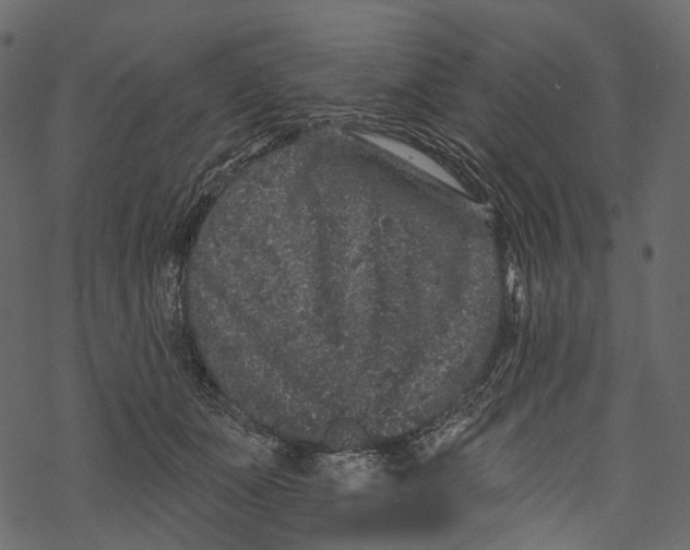 X0000067900511200605041621