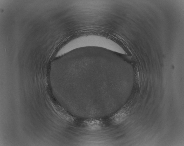 X0000067900512200605041621