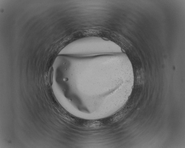 X0000067900514200605041621