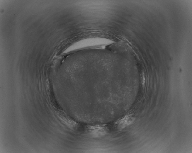 X0000067900516200605041621