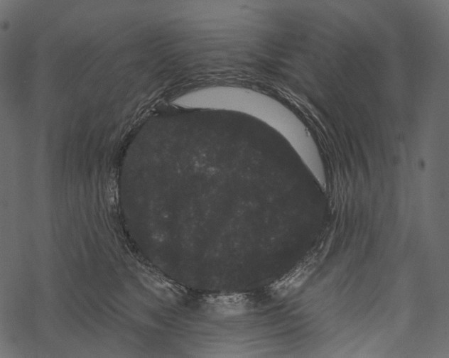 X0000067900517200605041621